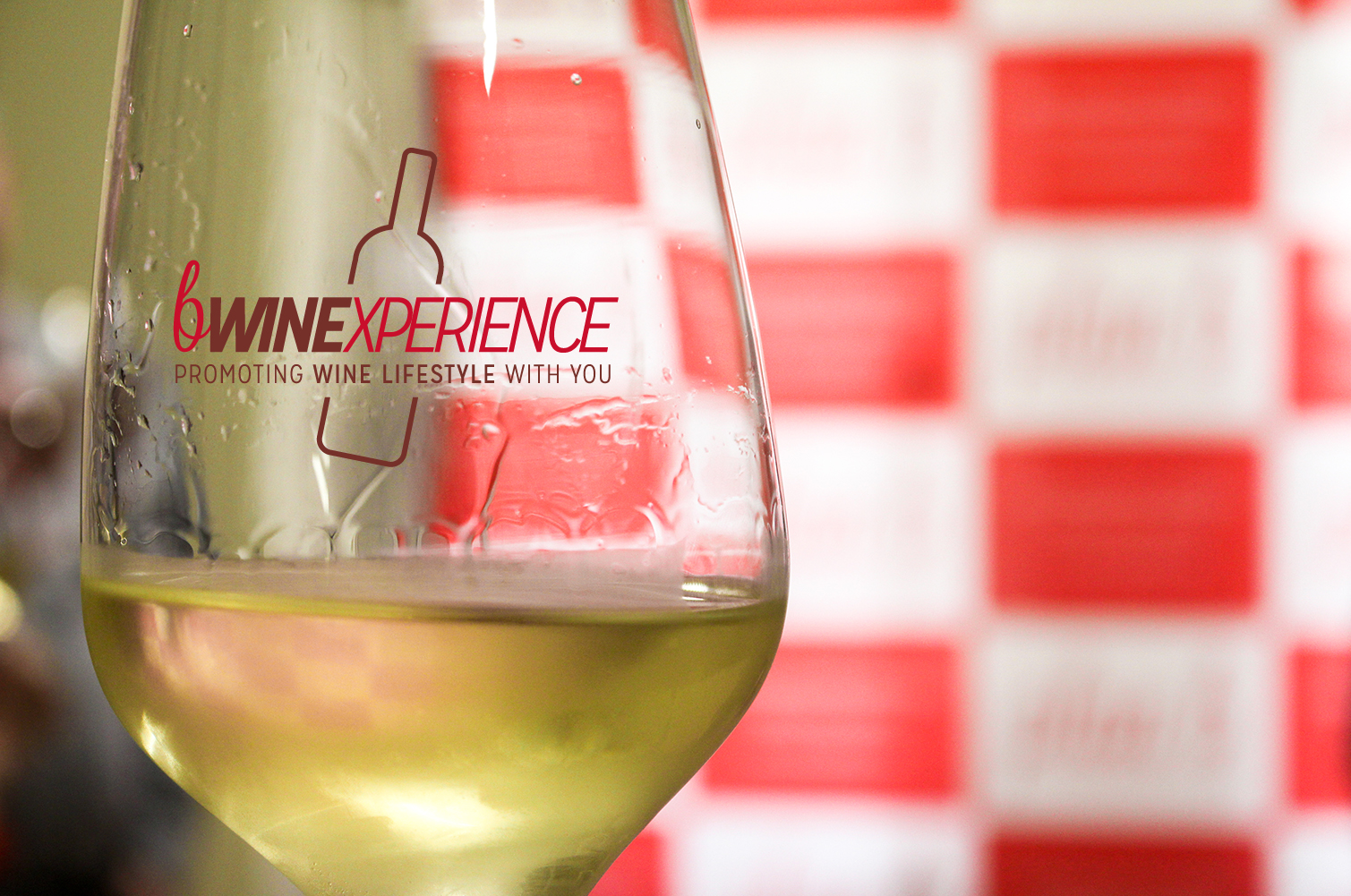 B-wine-experience | Blog Plan B